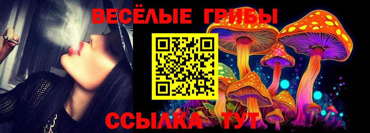 Галлюциногенные грибы Cubensis  Вход с VPN  Псилоцибиновые грибы Magic Shrooms  Новочеркасск 